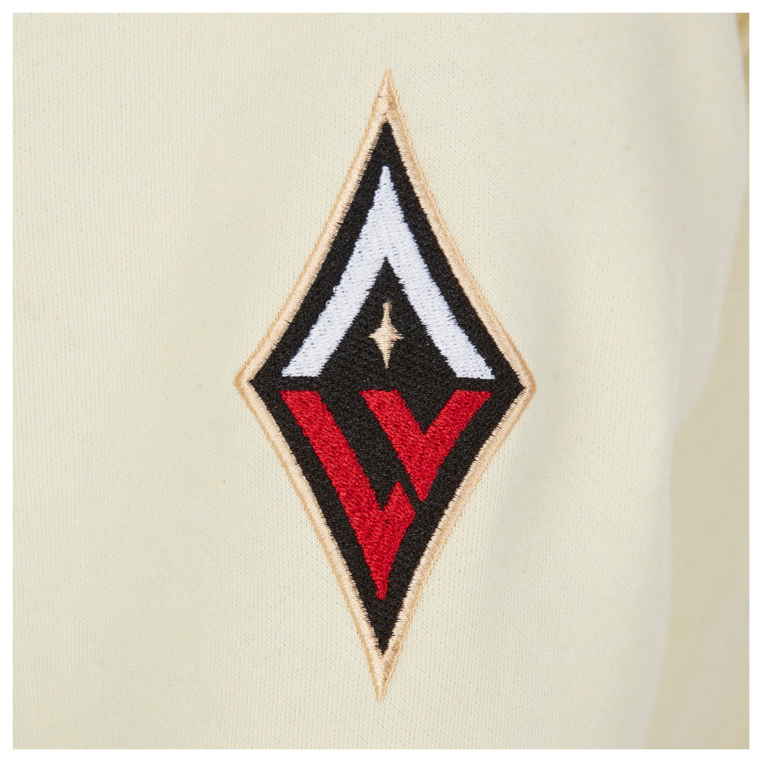 Las Vegas Aces Satin Applique Core Hoodie