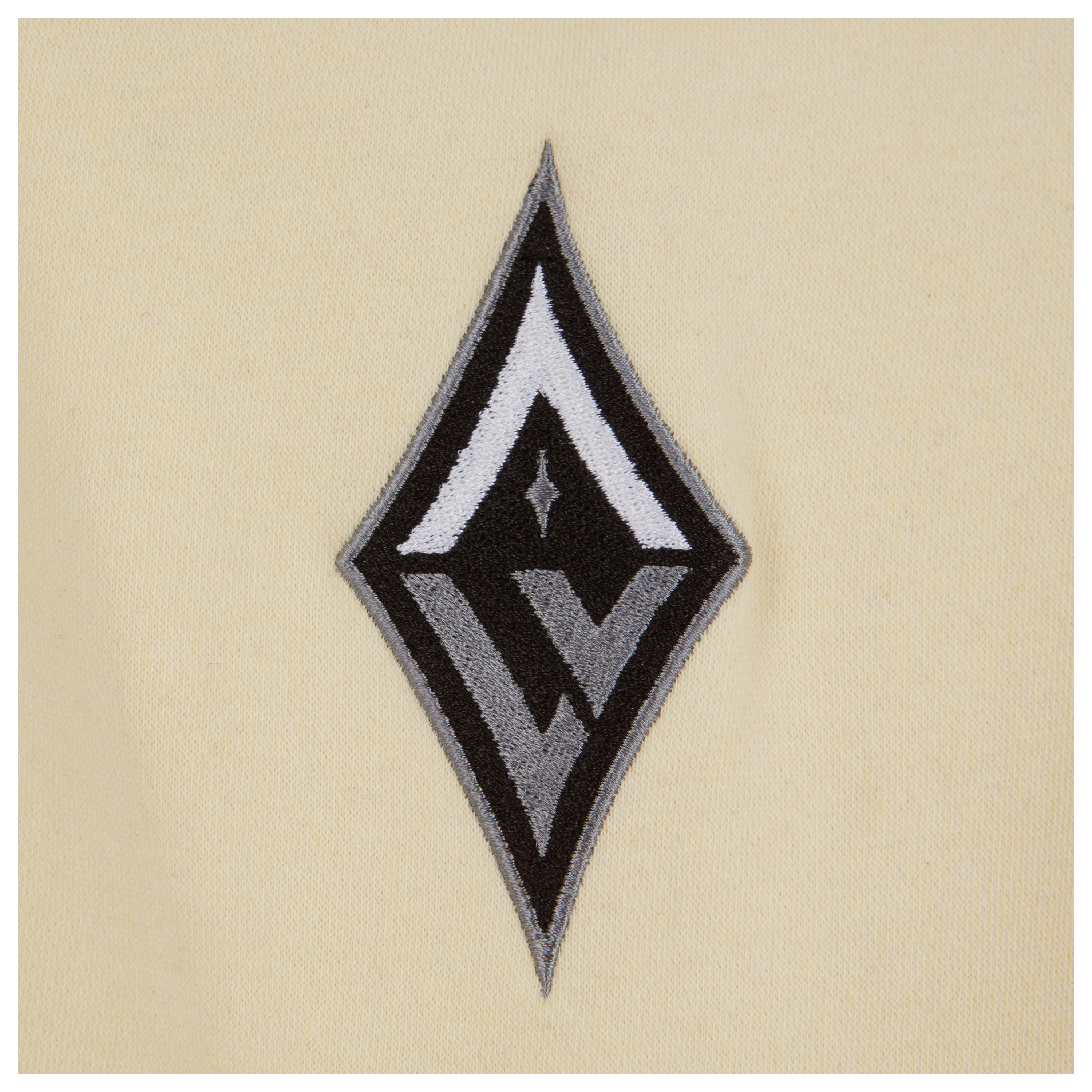 Las Vegas Aces Satin Applique Core Hoodie