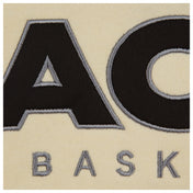 Las Vegas Aces Satin Applique Core Hoodie