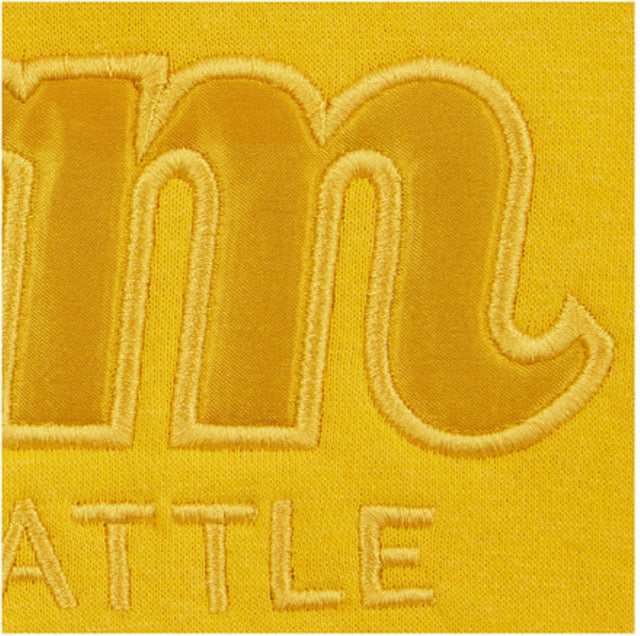 Seattle Storm Satin Applique Tonal Hoodie